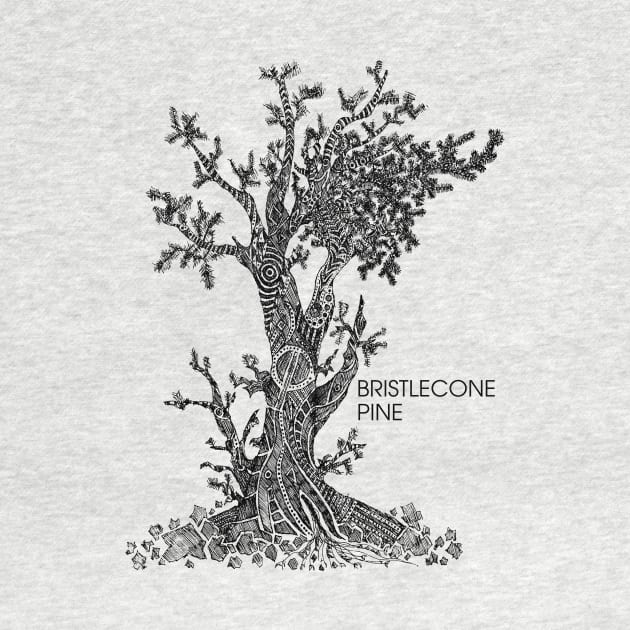 Bristlecone Pine Sketch by Hinterlund